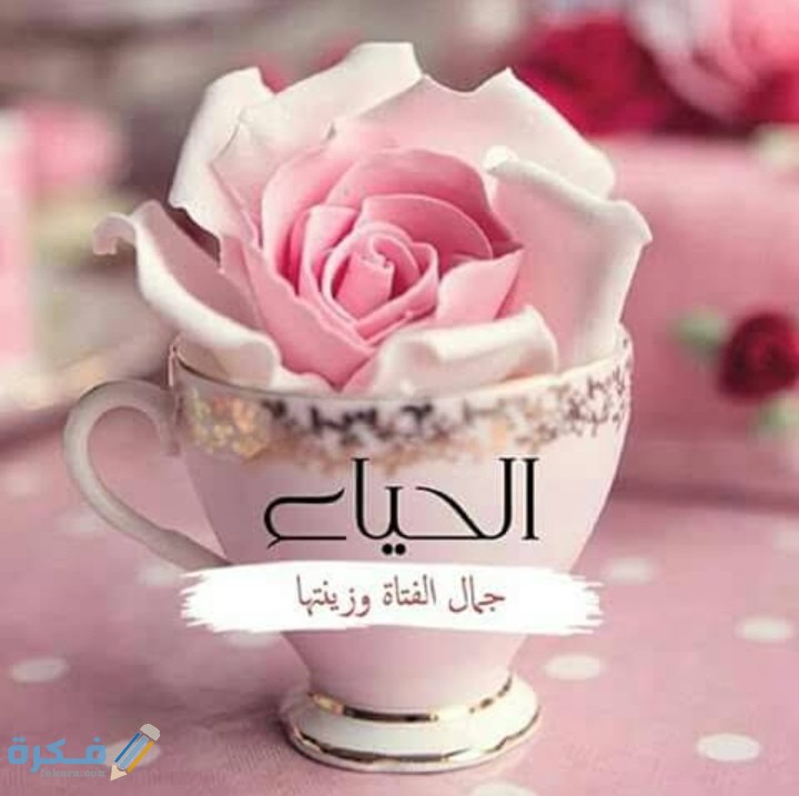اذاعة مدرسية عن خلق الحياء 1 IMG ٢٠٢٠١٢١٩ ٢٣٣٨١٨