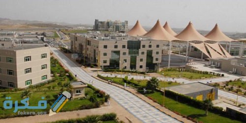 موعد التسجيل في جامعة الملك خالد 1446 .. شروط التسجيل في جامعة الملك خالد 1 تسجيل القبول في جامعه الملك خالد