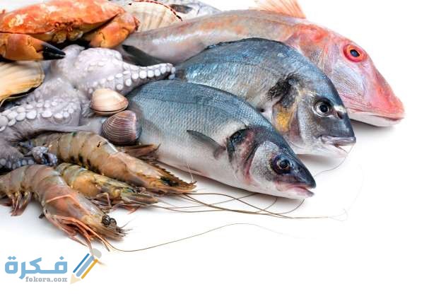 انواع السمك في السعودية 1 انواع السمك في السعودية