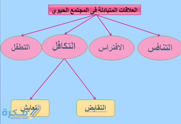 عددي العوامل اللاحيوية للمخلوقات الحية ضمن الغلاف الجوي 1 عددي العوامل اللاحيوية للمخلوقات الحية ضمن الغلاف الجوي