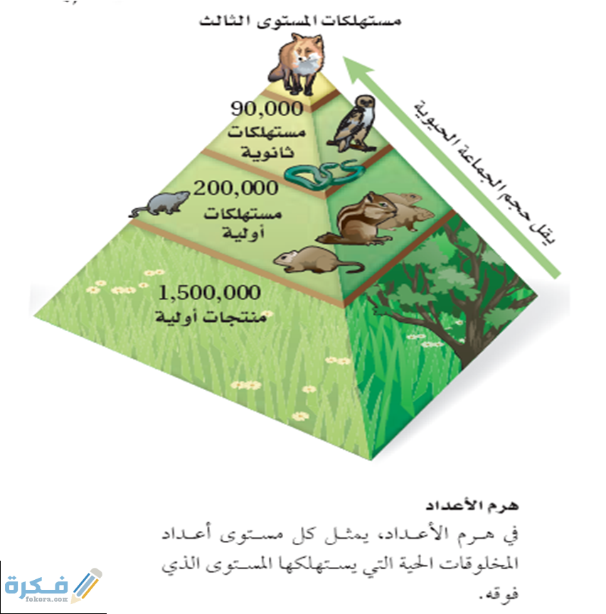هو الدور أو الموضع الذي يقوم به المخلوق الحي داخل بيئته 1 هو الدور أو الموضع الذي يقوم به المخلوق الحي داخل بيئته