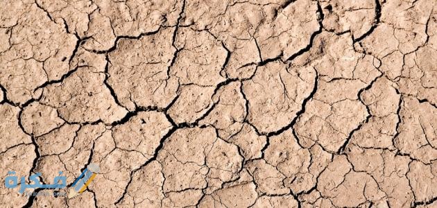 ما الذي يحدث في وقت الجفاف وعندما يندر وجود الماء لدى بعض الكائنات الحية 1 ما الذي يحدث في وقت الجفاف وعندما يندر وجود الماء لدى بعض الكائنات الحية