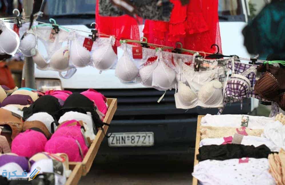 دراسة جدوى مشروع استيراد لانجري تركي 1 داخلية نسائية 1