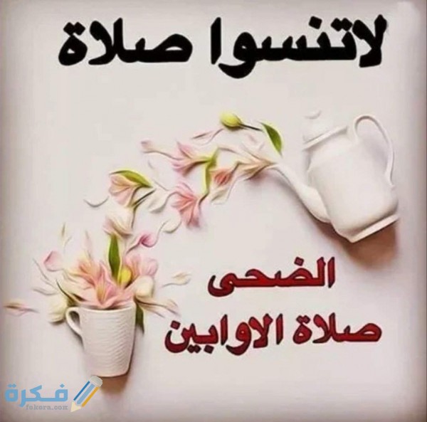 صحة حديث صلاة الأوابين حين ترمض الفصال وفضل صلاة الأوابين 1 056d1e7f87e3297d25feefcbe1b429f8f0335b90r1 1069 1058v2 uhq