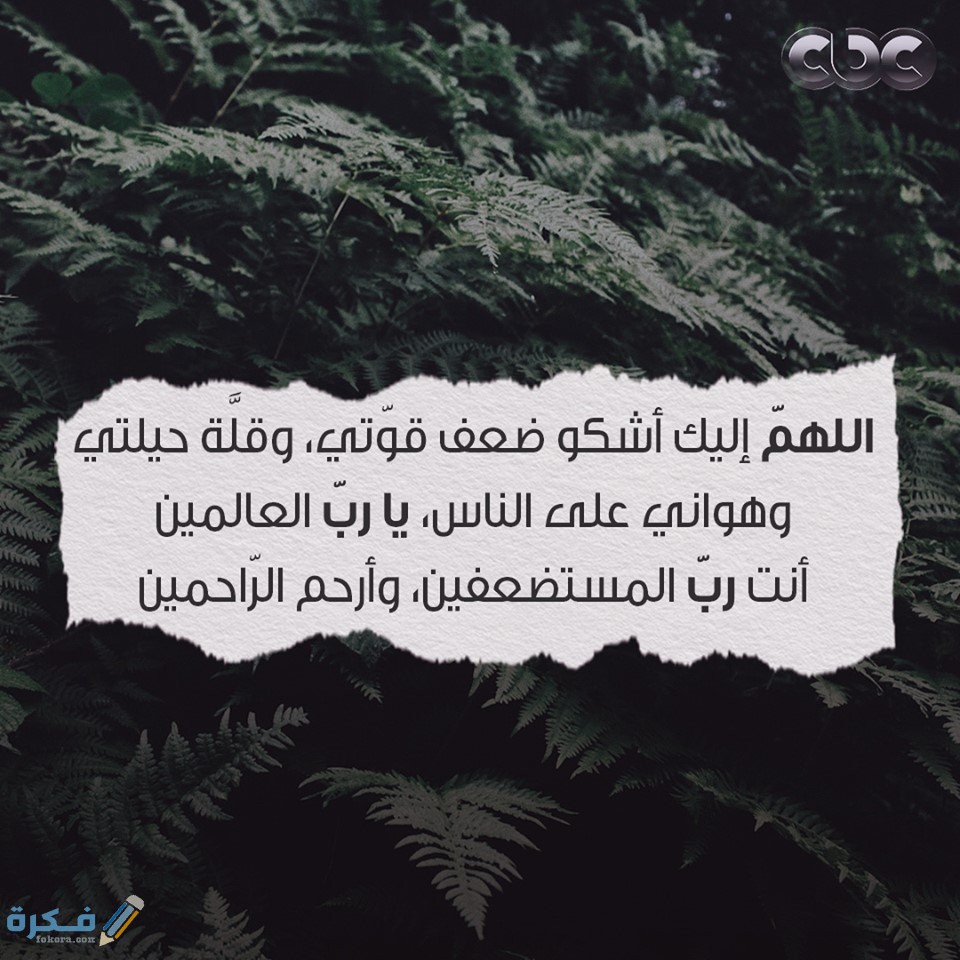 دعاء اللهم اني أشكو إليك ضعف قوتي وقلة حيلتي 1 EH LF1vWkAE9ovC