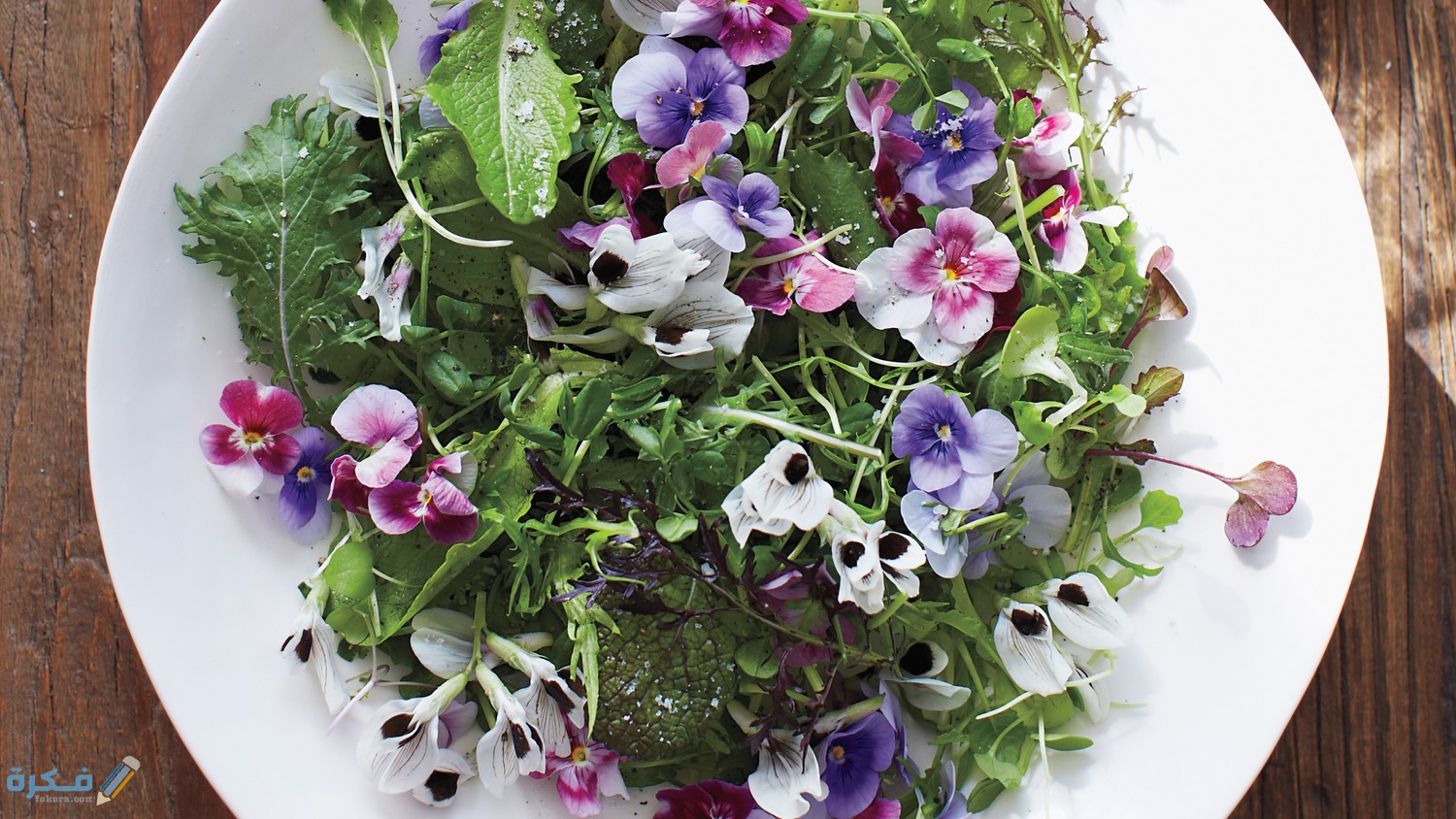 اسماء الزهور الصالحة للاكل 1 green salad with edible flowers ma130124 horiz