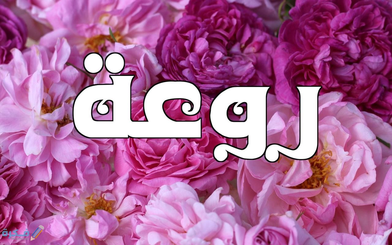 الرد على كلمة روعة 1 1069