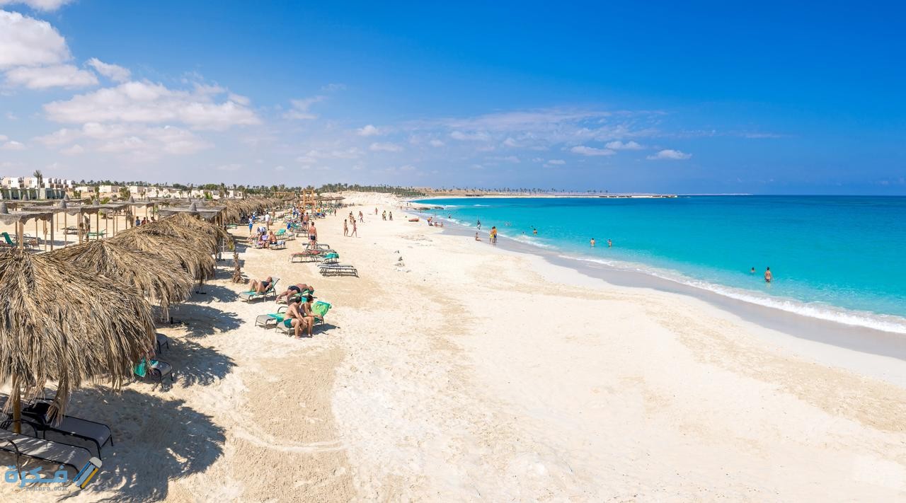 اسماء احسن 5 فنادق في الساحل الشمالي 5 نجوم 2025 1 45961946