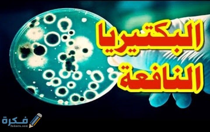 أين تباع البكتيريا النافعة ؟ وأهم مصادر البكتيريا النافعة ؟ 1 IMG ٢٠٢١٠٢١٢ ١٦٤٠١٦