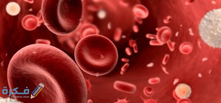 تجربتي مع نقص الصفائح أسبابها وهل يعتبر خطير ؟ 1 IMG ٢٠٢١٠٢١٧ ٠٢٥٢٤٦