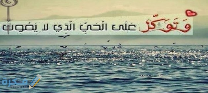 عبارات عن التوكل على الله جميلة 1 IMG ٢٠٢١٠٢٢٧ ٠٩٤١٥٤
