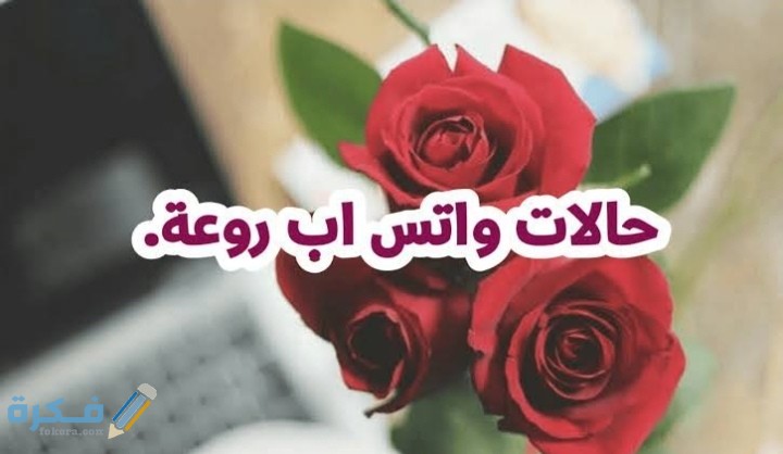 عبارات حلوه للواتس اب قصيره حالات 1 IMG ٢٠٢١٠٢٢٨ ٢٣٠٩١٩