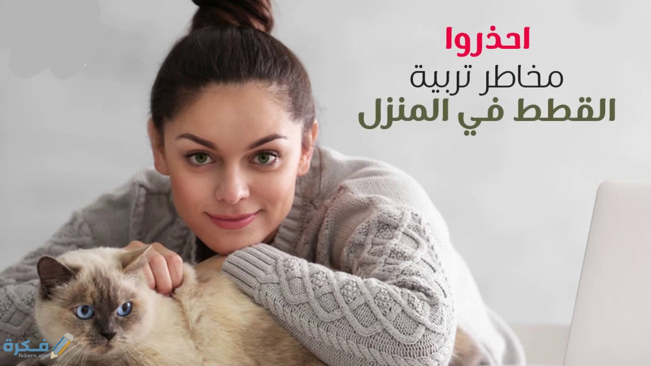 أهم 5 أضرار تربية القطط في البيت على البنات 1 تاثير القطط على الصحة الانجابية للبنات