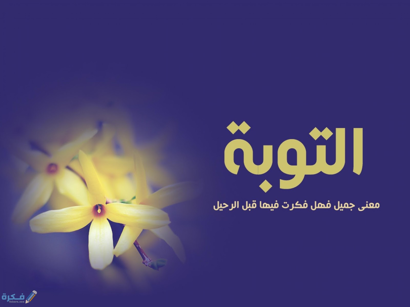 كيف أتوب إلى الله من جميع الذنوب ؟ وأهم شروط التوبة النصوح 1 resizeimages