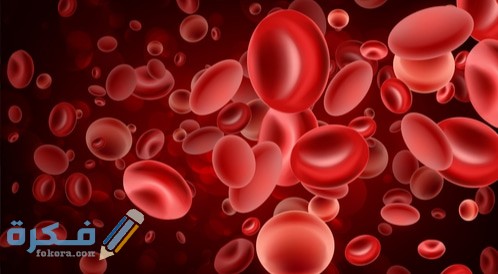 تحليل monocytes المعدل الطبيعي كام ؟ 1 tbl articles article 18810 29200a5a9ad 544e 4c6b 899e dae36b6dac0e