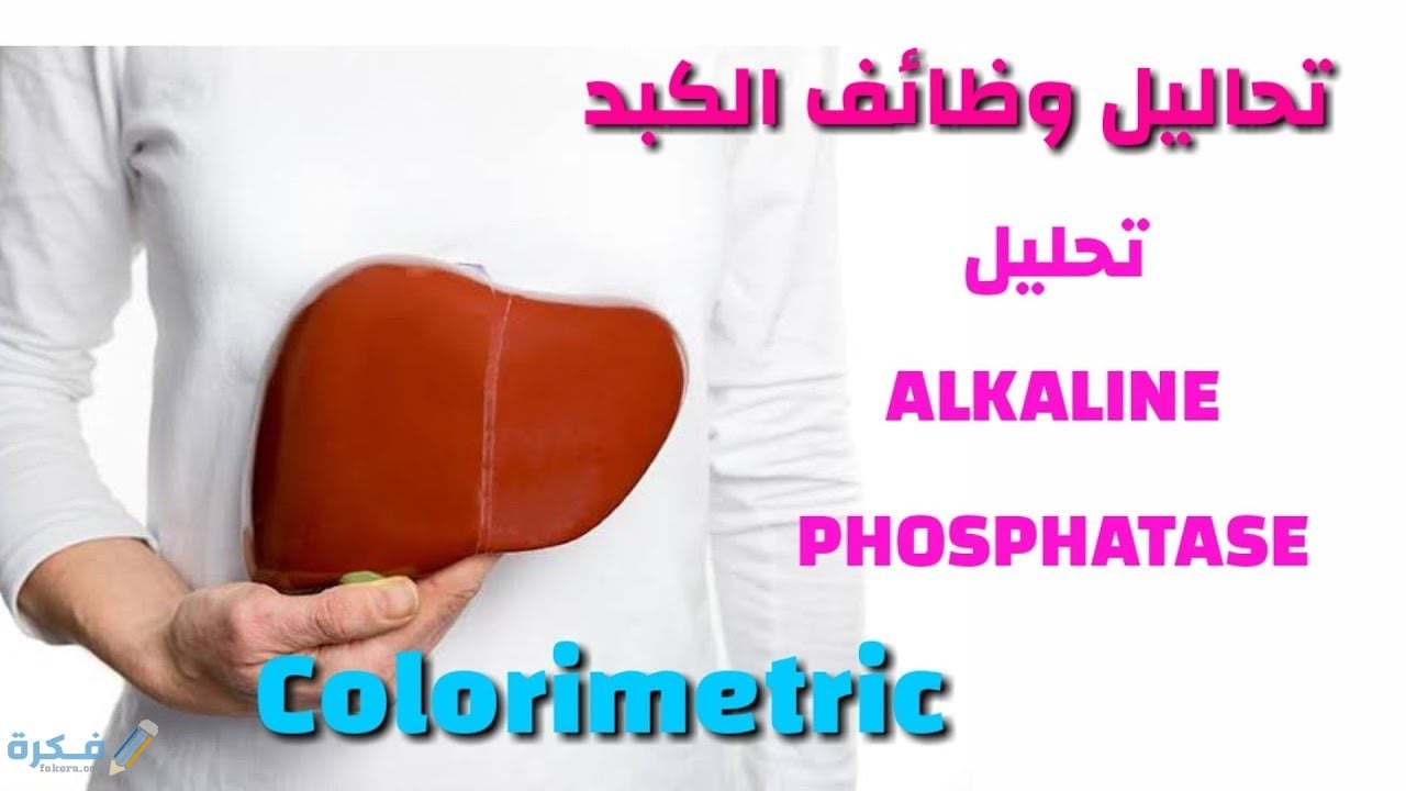 ما هو تحليل alkaline phosphatase 1 ما هو تحليل alkaline phosphatase