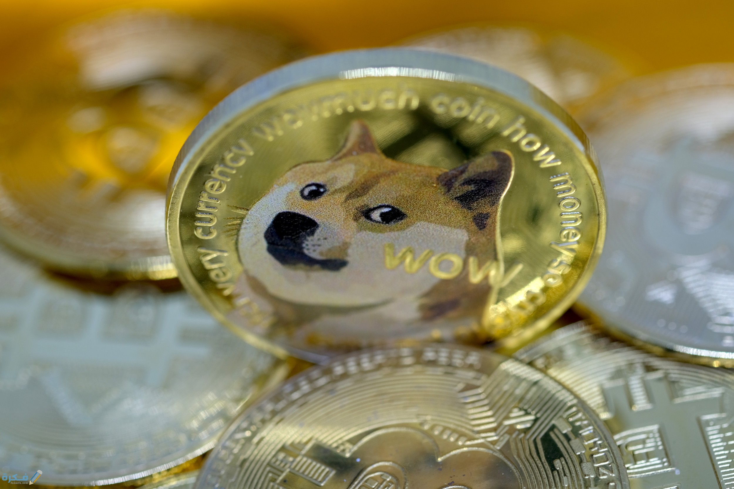 سعر عملة Dogecoin دجكوين الرقمية ومستقبلها 1 مميزات عملة الدجكوين الرقمية