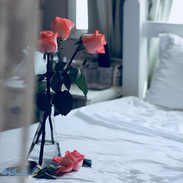 الرد على كلمة نوم الهنا 1 4f6f834754b8f020a142bbd679c9a95a