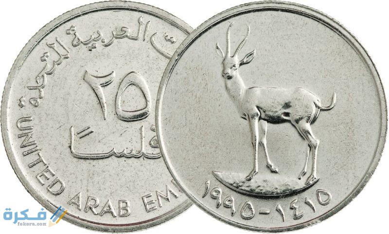ما هو اسم عملة الإمارات وفئاتها المختلفة بالصور 1 785b151fff