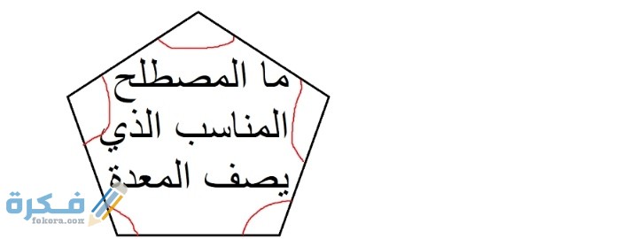 ما المصطلح المناسب الذي يصف المعدة علوم اول متوسط 1 ما المصطلح المناسب الذي يصف المعدة علوم اول متوسط