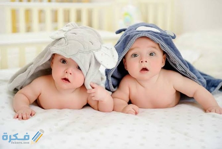 آيات قرآنية للحمل بتوأم 1 IMG ٢٠٢١٠٣٢٠ ٠٣٣٥٥٠