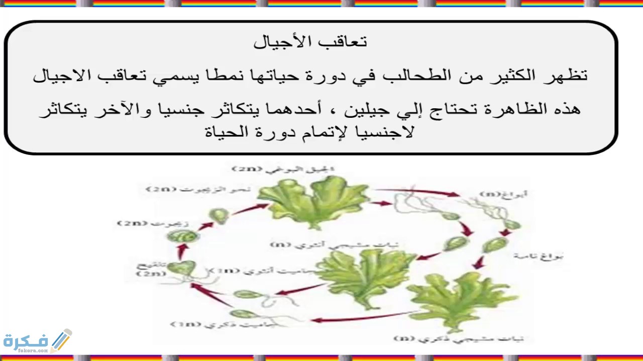 شرح ظاهرة تعاقب الأجيال للصف الثالث الثانوي 1 شرح ظاهرة تعاقب الاجيال للصف الثالث الثانوي