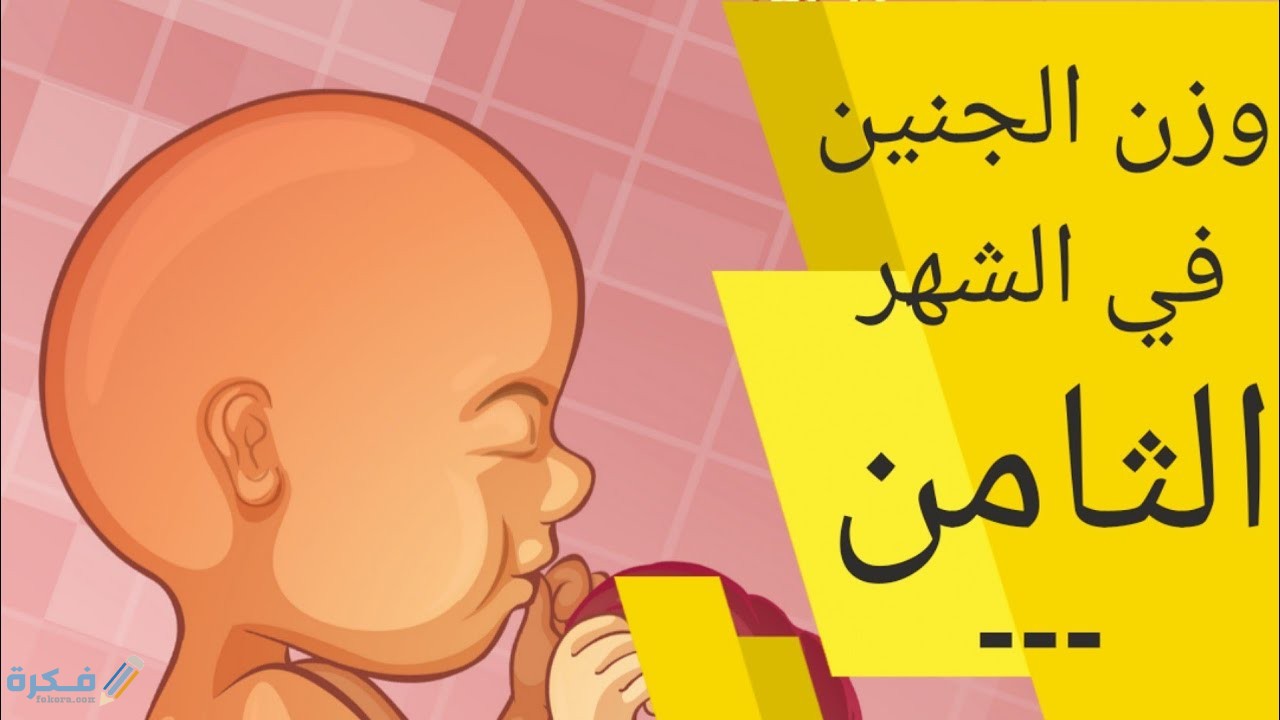 كم يزيد وزن الجنين كل اسبوع في الشهر الثامن 1 عوامل تؤثر على وزن الجنين في الرحم