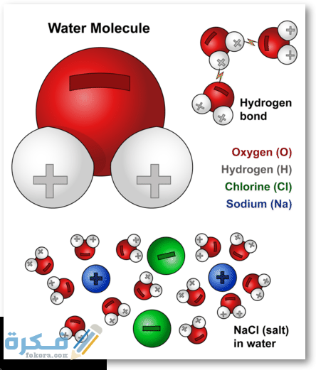 اشرح كيف تؤثر قوى التجاذب بين الجزيئات في الذوبان 1 molecules ds
