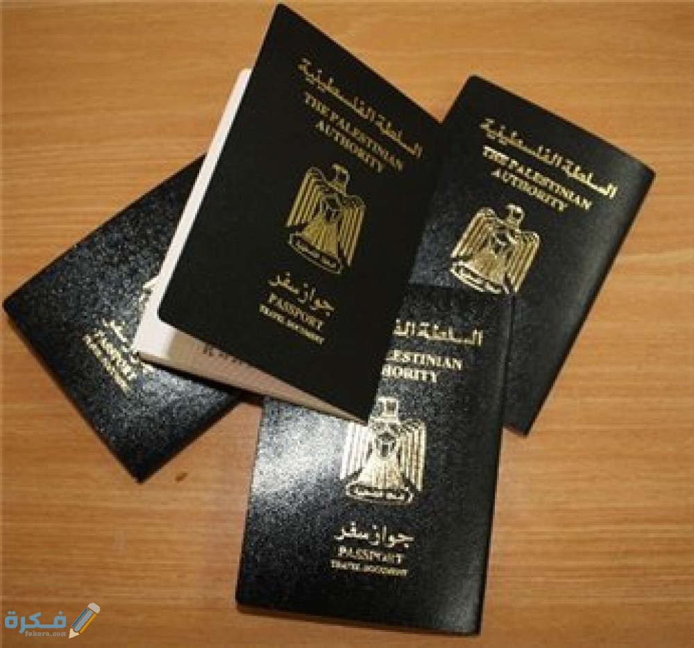 مميزات الباسبور الدبلوماسي المصري 1 مميزات الباسبور الدبلوماسي المصري