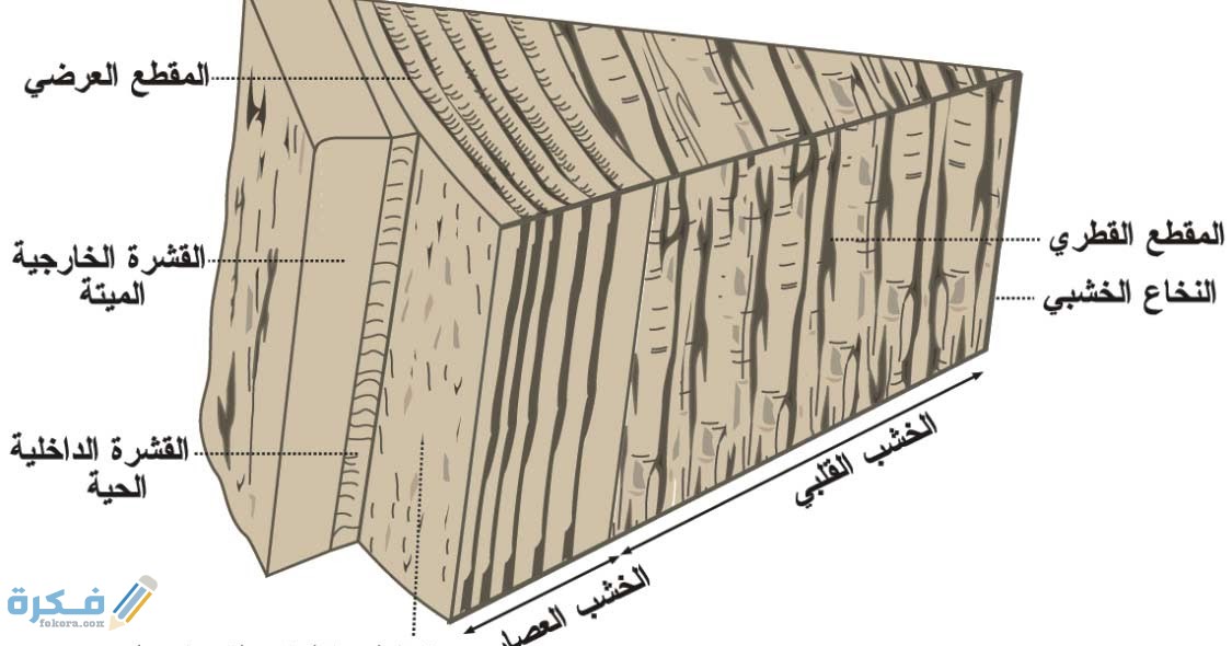تسمى قابلية المادة للانثناء أو الطي أو التشكيل مع الشرح الكامل 1 2 6