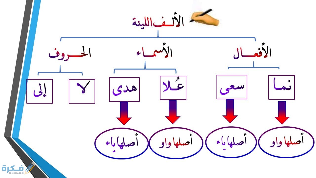 أمثلة على الألف اللينة في الأفعال غير الثلاثية 1 أمثلة على الألف اللينة في الأفعال غير الثلاثية