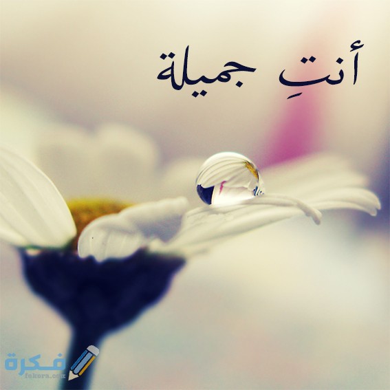اذا احد قال لي انتي جميله وش ارد ؟ 1 جميلة