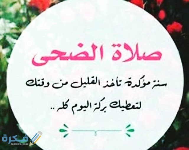 موعد صلاة الضحى بعد الشروق بكام دقيقة ؟ 1 صلاة الضحى بعد الشروق بكام دقيقة وفضل صلاة الضحى