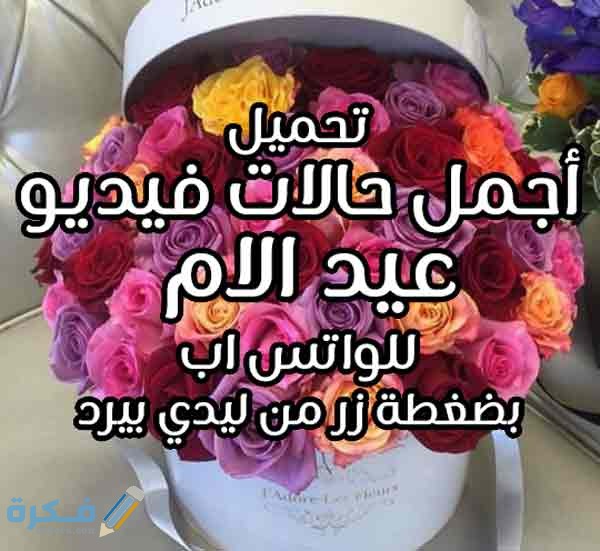 حالات واتس اب عن عيد الأم 2025 1 حالات فيديو عيد الام
