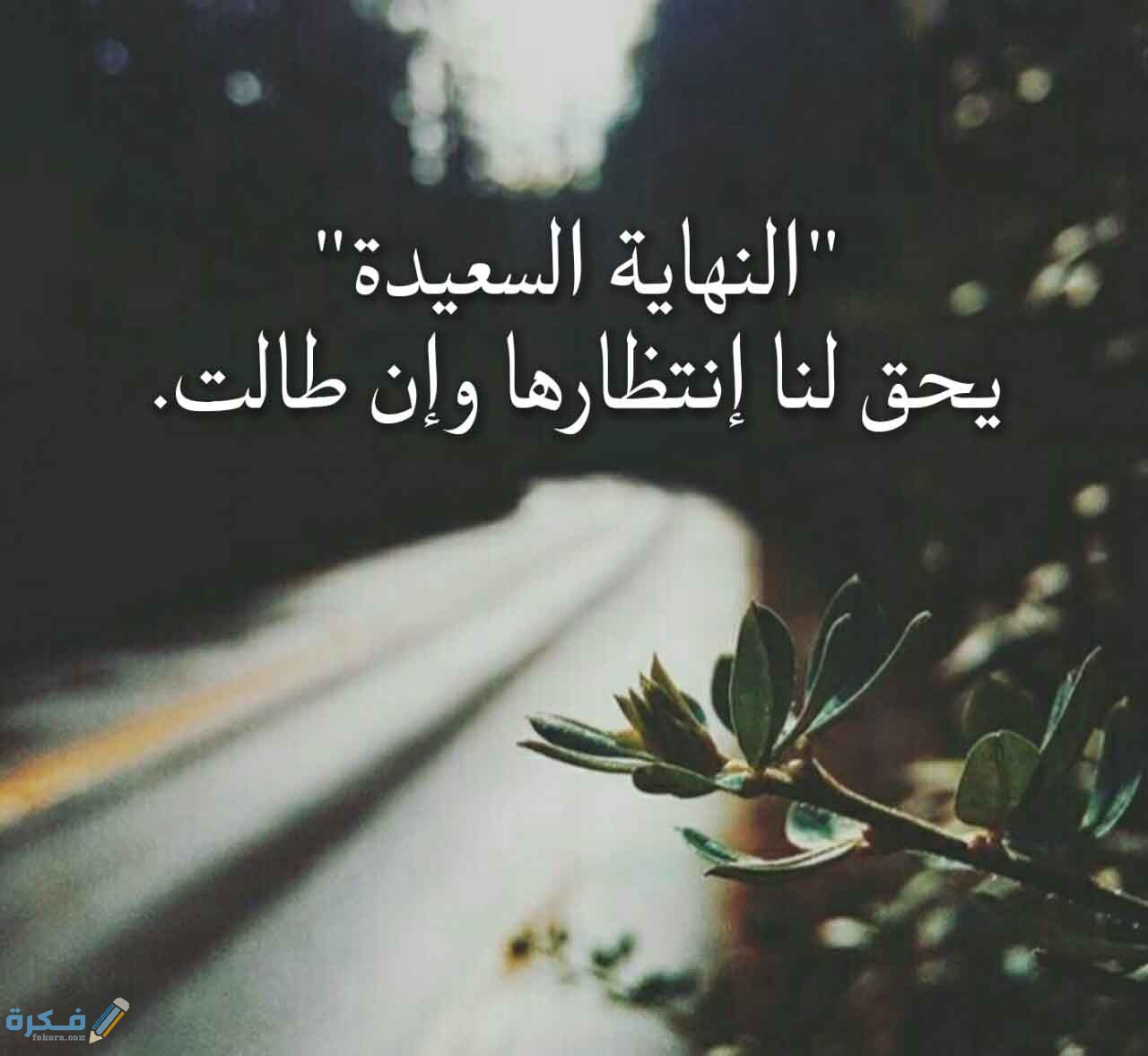 صور للواتساب جميلة 2025 اجمل خلفيات واتساب معبرة 1 اب واتساب رائعة6