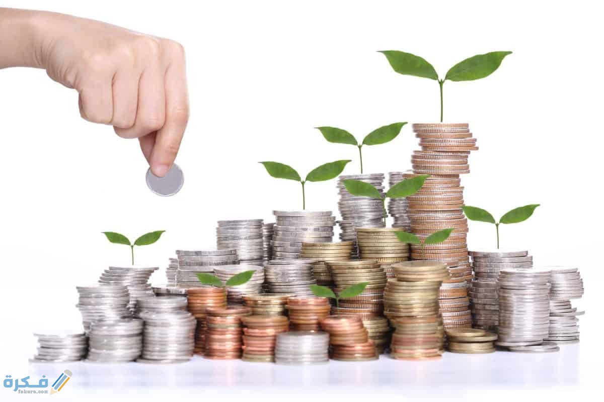 اهم 10 أفكار مشاريع تجارية كبيرة في مجالات مختلفة 1 مشاريع كبيرة رياضية