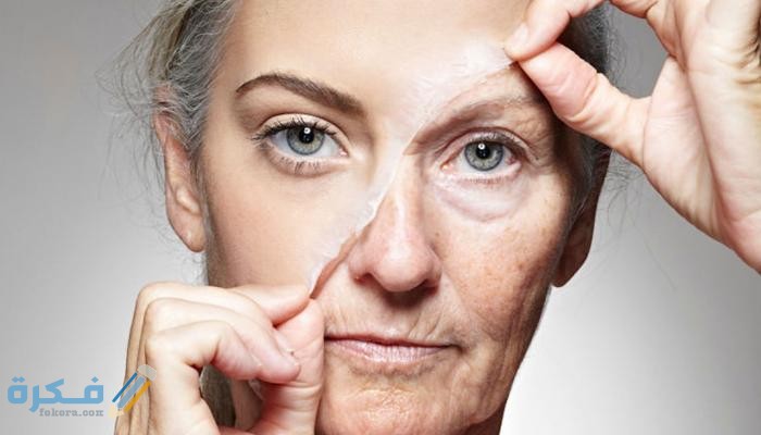 شرح خطوات التخلص من خطوط الوجه 1 زيت الزيتون للتخلص من خطوط الوجه