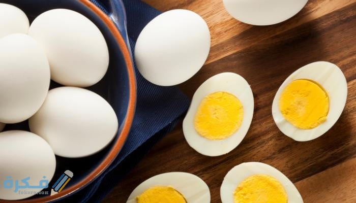 مدة هضم البيض في المعدة 1 مدة هضم البيض في المعدة