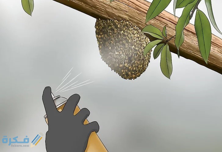 شرح خطوات التخلص من خلية النحل 1 الخل الابيض للتخلص من النحل