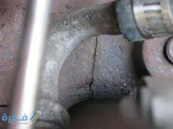 اهم 5 علامات تدل على تلف أقزوز الشكمان 1 images 2021 04 05T193229.473