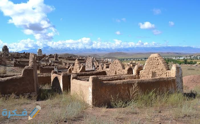 تفسير حلم رؤية قبور الشهداء في المنام 1 images 23