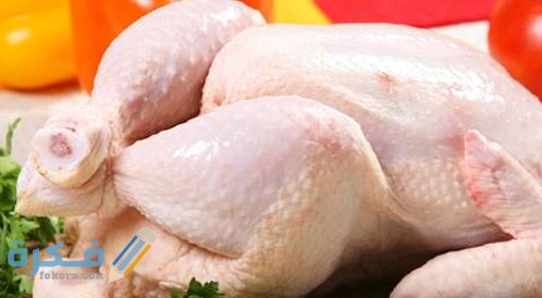 مدة هضم الدجاج في الجسم 1 مدة هضم الدجاج في الجسم