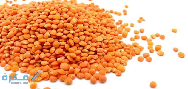 مدة هضم العدس في المعدة 1 مدة هضم العدس في المعدة
