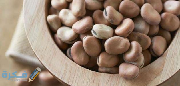 مدة هضم الفول في المعدة 1 مدة هضم الفول في المعدة