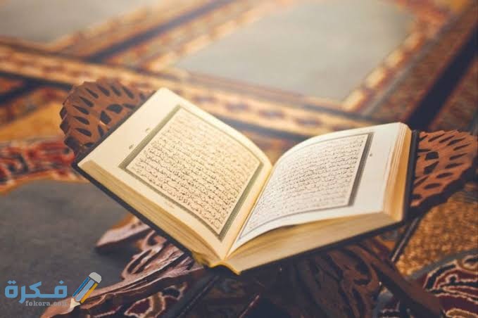 ذهاب المد في قوله تعالى محلي الصيد 1 images 2021 05 20T034353.992