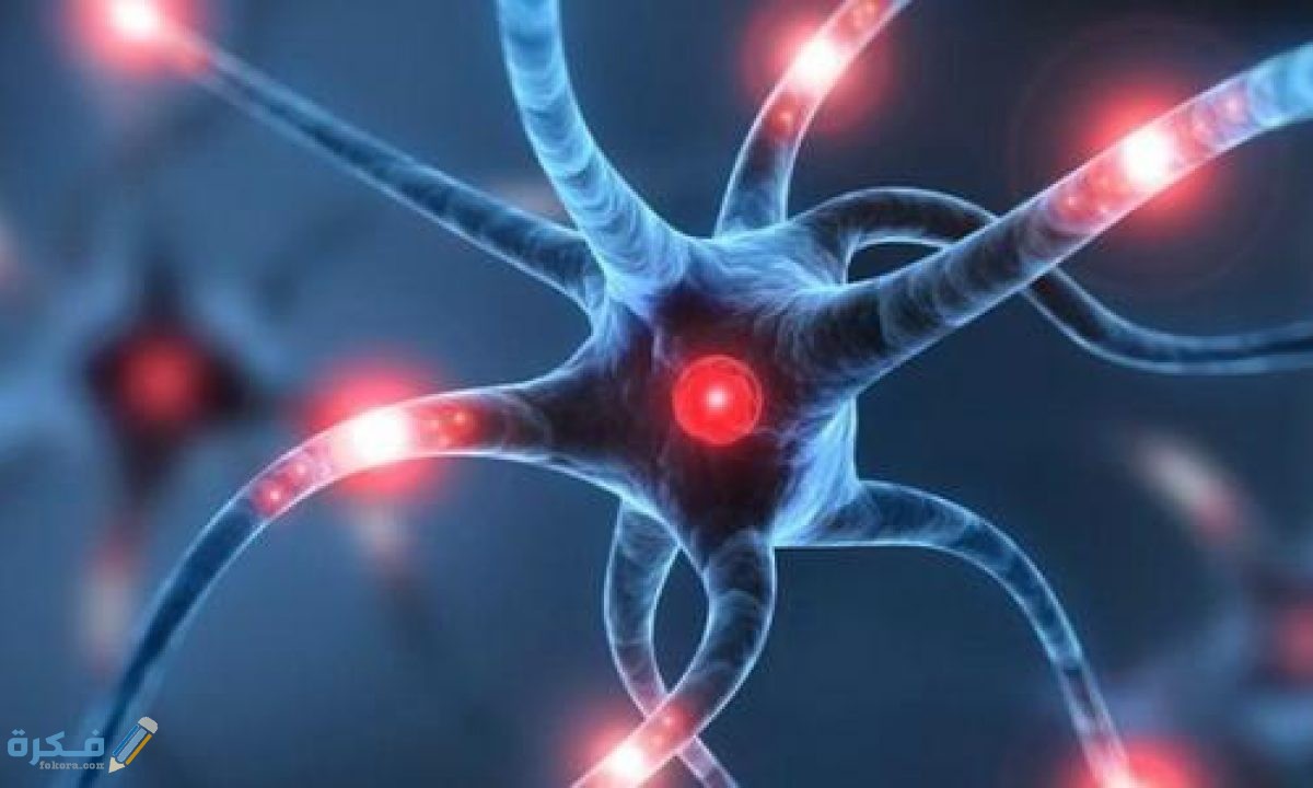 شرح خطوات التخلص من كهرباء الجسم الزائدة 1 طريقة التخلص من كهرباء الجسم