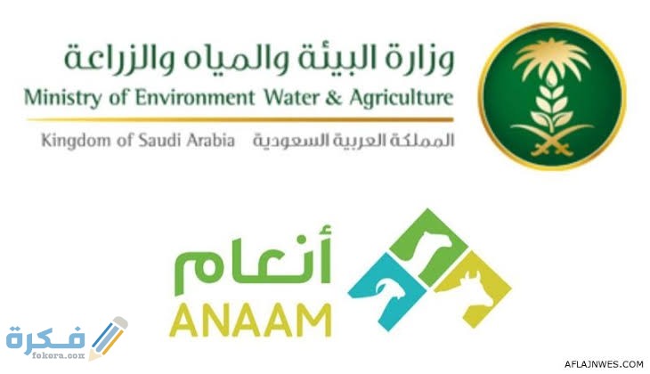 شرح خطوات التسجيل في منصة انعام وشرح خطوات التقديم والاوراق المطلوبة 1 images 2021 06 06T011155.947