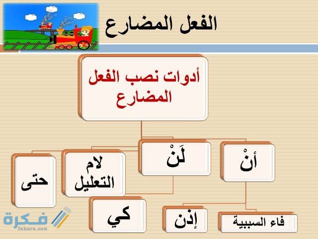 علامات نصب الفعل المضارع 1 images 2021 06 09T102537.211