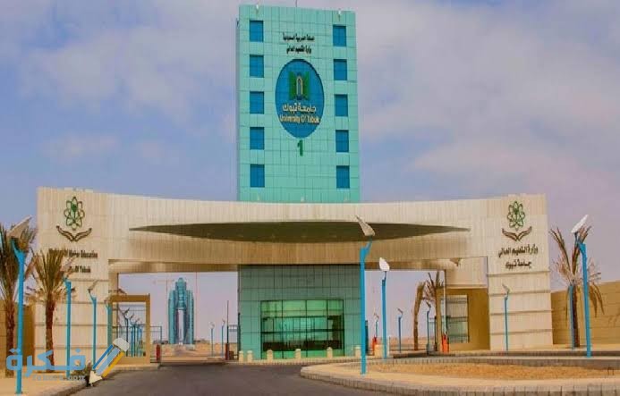 شروط القبول في كلية الطب جامعة تبوك 1446 ونسب القبول 1 images 2021 06 19T033156.980