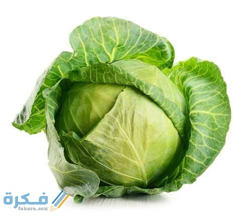 تفسير رؤية الكرنب الاخضر في المنام 1 images 2021 06 29T121203.364